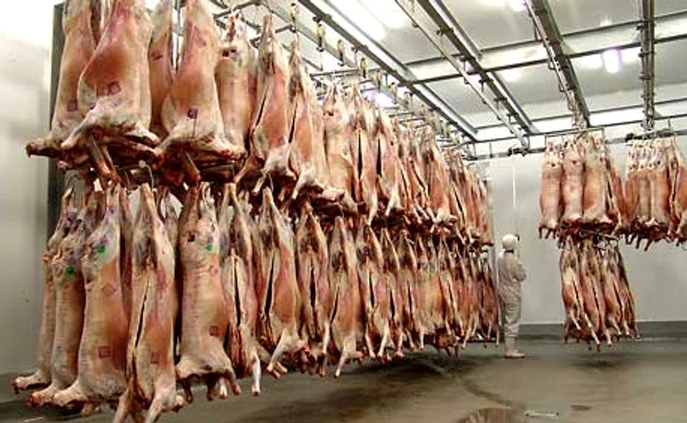 Escrocii au cumpărat carne de peste 8.000 de lei. SURSA Arhivă