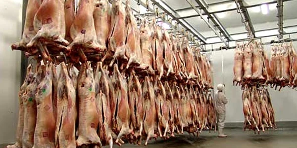carcase oi jpeg