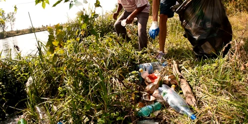 voluntari let's do it