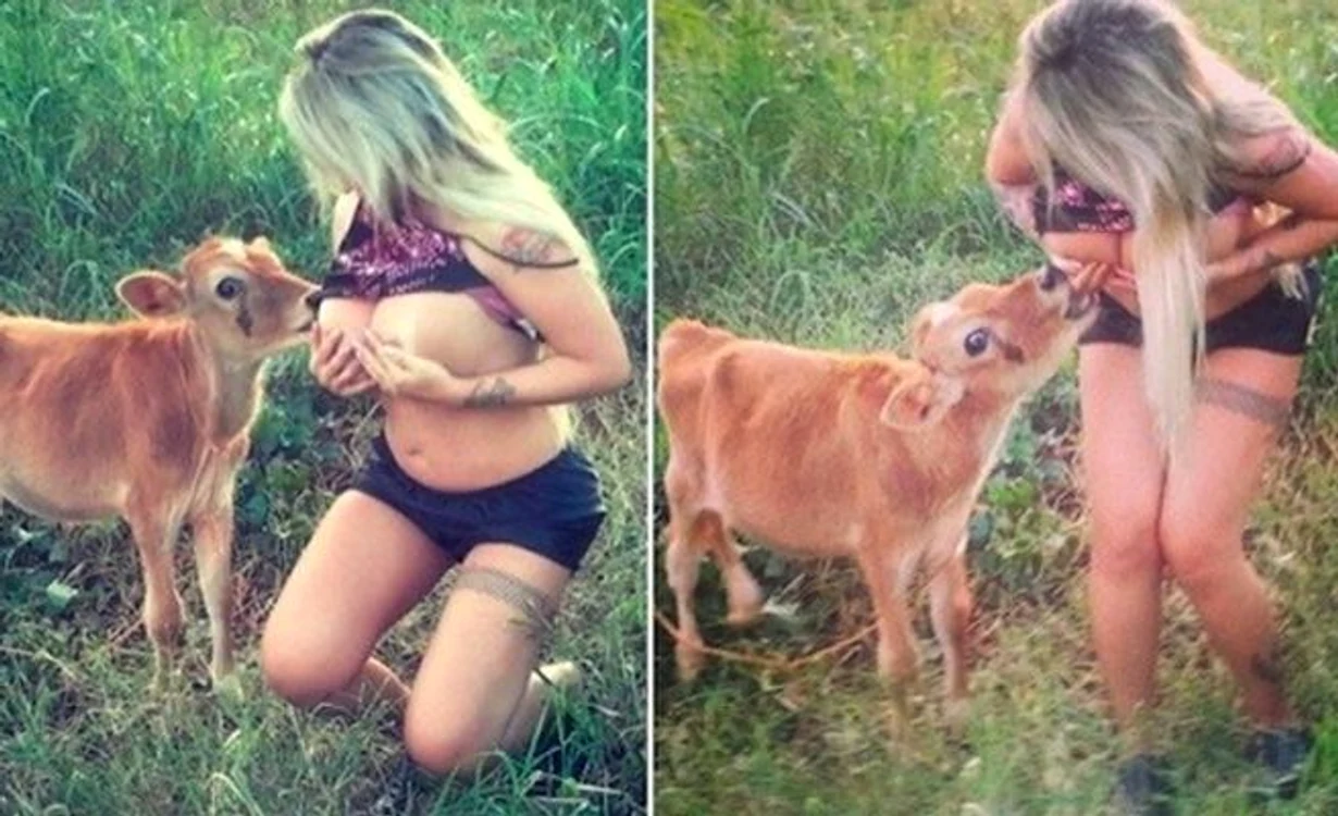 sabrina boing boing vitel