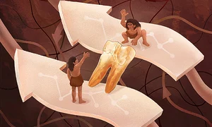 O ilustrație care arată cum analiza smalțului dentar a dezvăluit conexiuni surprinzătoare între grupurile umane arhaice (©  Institutul de Paleontologie a Vertebratelor și Paleoantropologie, Academia Chineză de Științe)
