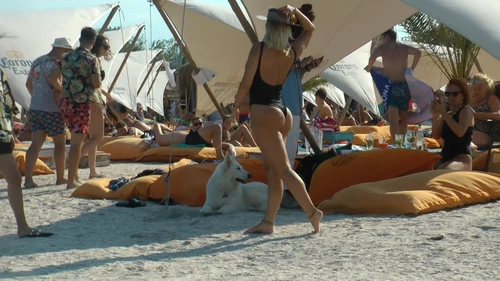O imagine fierbinte pe plaja din Mamaia