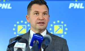 Ionuț Stroe FOTO Mediafax 