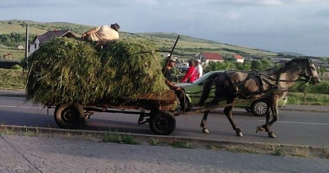 Foto Adevărul