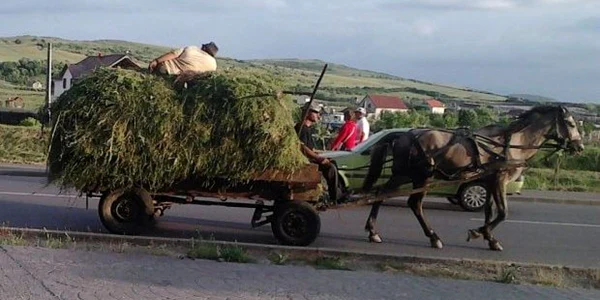 Foto Adevărul