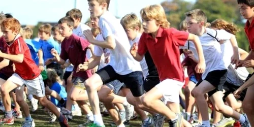 sport
