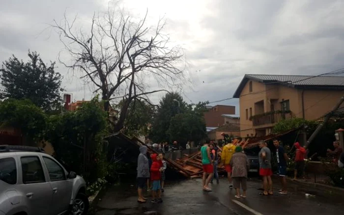 Vijelie în minicipiul Constanta