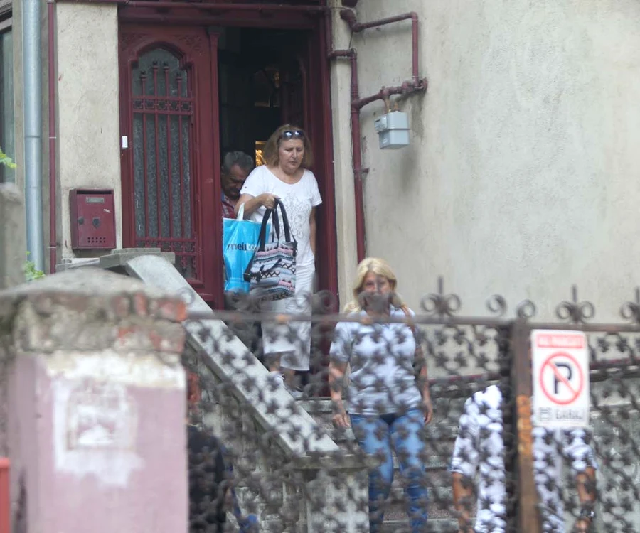 Cinci experți au evaluat  casa lui Ion Dolănescu