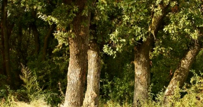 cele mai frumoase locuri din judetul braila