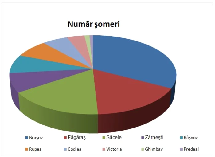 Rata somajului este in usoară creştere la Braşov Infografie: Sebastian Dan