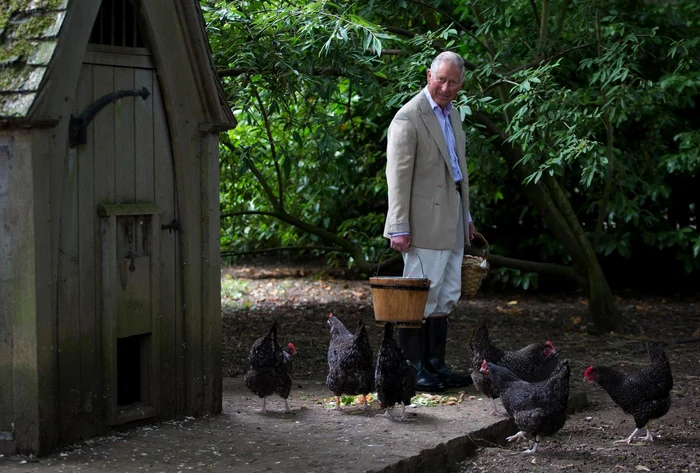 Highgrove House (100) jpeg