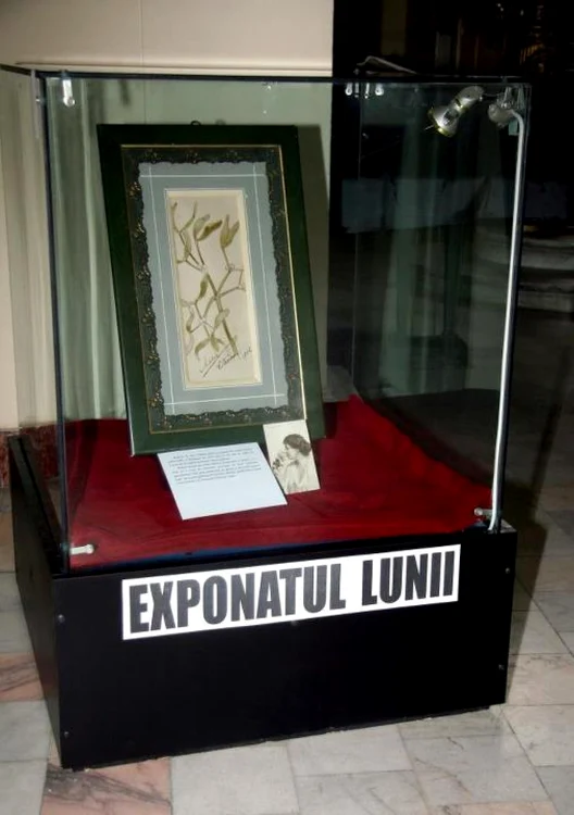 Tabloul "Ramura de vâsc" FOTO:Laurentiu Ionescu