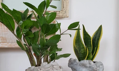 1 decoratiuni gradina 3 jpg jpeg