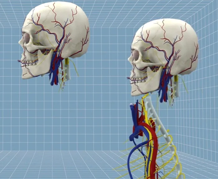 Mulți medici sunt sceptici că o astfel de procedură va putea fi posibilă în viitorul apropiatFoto: qz.com