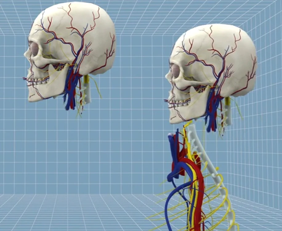 
    Mulți medici sunt sceptici că o astfel de procedură va putea fi posibilă în viitorul apropiatFoto: qz.com  