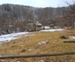 Valea Anineșului Drumul spre Fața Cetei (9) jpg