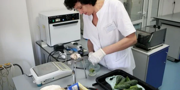 Specialiştii au prelevat probe din castraveţii de pe piaţă