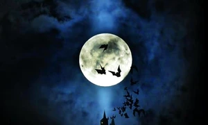 „Lipsea un festival de film horror şi fantastic“ jpeg