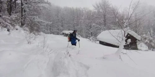 Ciobanul a fost găsit lângă o pădure din localitatea Drincea