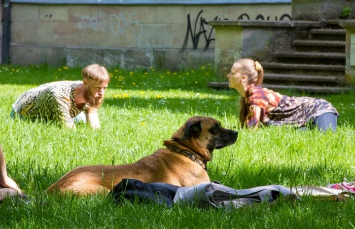 Doi actori oferă spectacole pentru animalele de
companie. Foto BBC