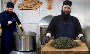 efrem bandarica mancare urzici colaj facebook jpeg