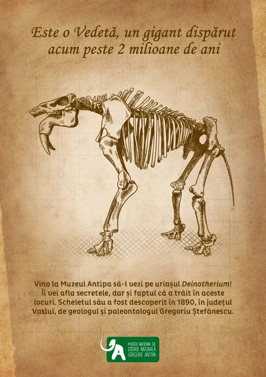 antipa deino poster jpg jpeg