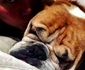 John Legend Chrissy Tiegen Puddy 4 jpeg