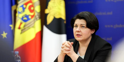 325666119 1511270342703620 6839744141310772882 n jpeg