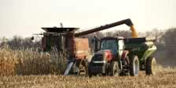 Agricultorii trebuie să se grăbească cu dosarele Foto: Adevărul