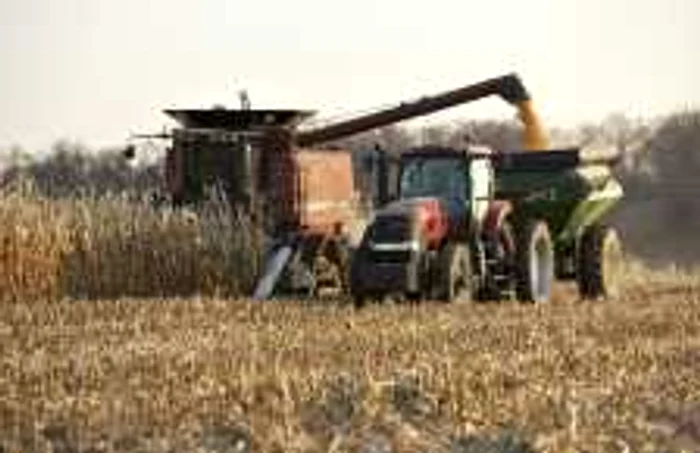 Agricultorii trebuie să se grăbească cu dosarele Foto: Adevărul