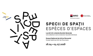 Festivalul Filmului Francez, expoziția Espèces d’espaces, SoNoRo Conac jpeg