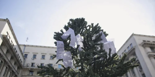 protest amenzi MAI octav ganea