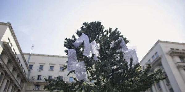 protest amenzi MAI octav ganea