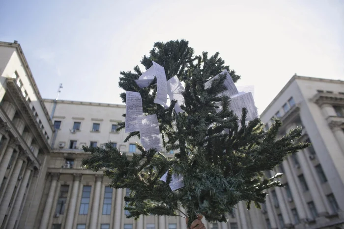 Un brad este decorat cu amenzi de circulatie, in fata Ministerului Afacerilor Interne. Inquam Photos / Octav Ganea