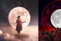zodii jpg