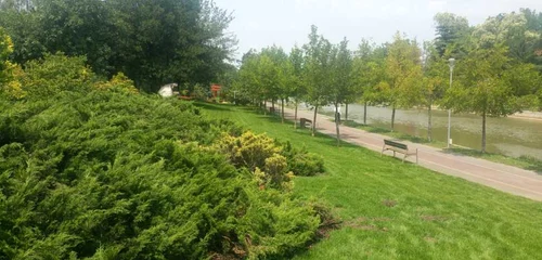 Parcul Alpinet inaugurare Timisoara FOTO Daniel Dancea