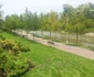 Parcul Alpinet inaugurare Timisoara FOTO Daniel Dancea