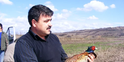fazani