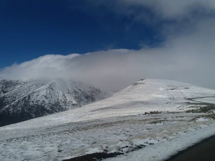 Transalpina