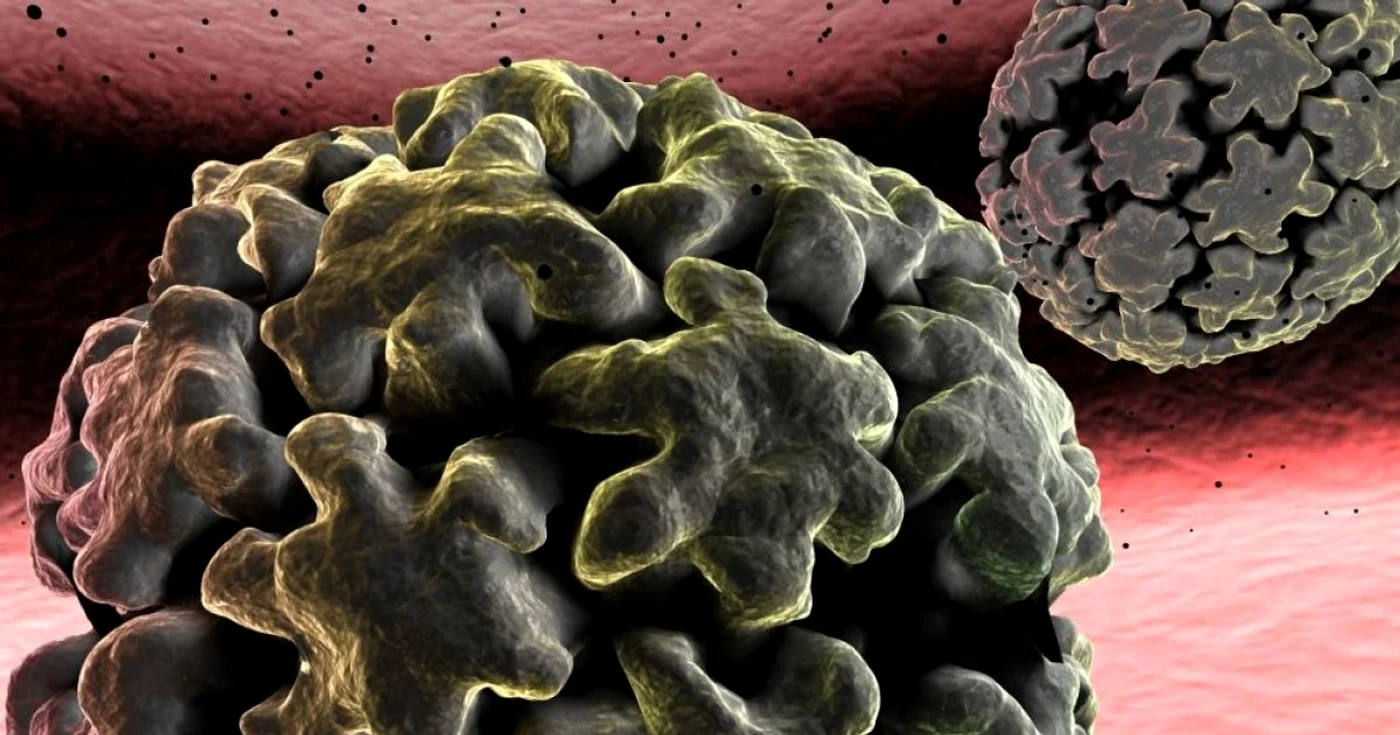 Virusul HPV