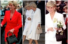 Geanta Dior Diana, Camilla (2) jpg
