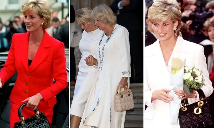 Geanta Dior Diana, Camilla (2) jpg