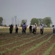 agricultori romani foto adevarul