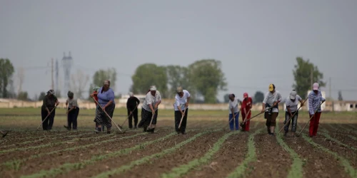 agricultori romani foto adevarul