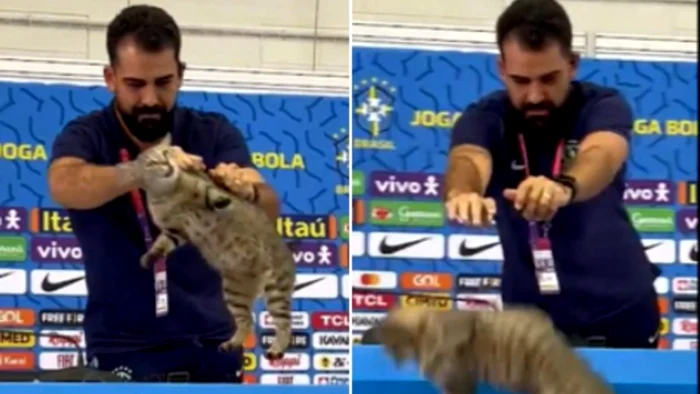 Pisică la conferința de presă a Braziliei. Captură video