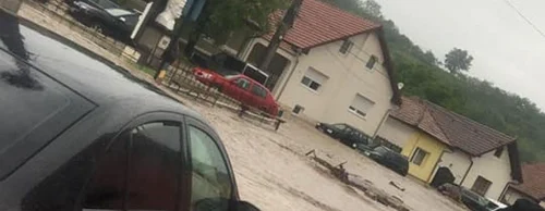 inundatii alba