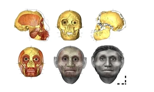 Pentru prima dată putem vedea cum arăta omul hobbit jpeg