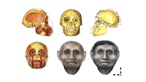 Pentru prima dată putem vedea cum arăta omul hobbit jpeg