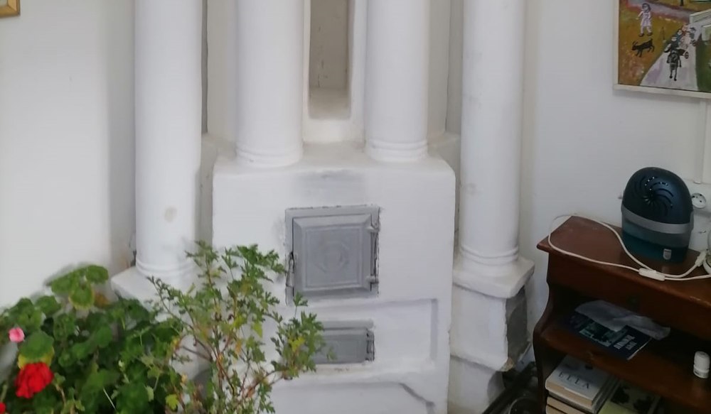 Au plecat gâștele sălbatice – a venit iarna!