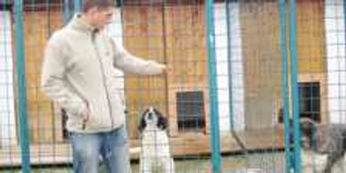 Lică Lăcătuşu are grijă de câinii lăsaţi la pensiune